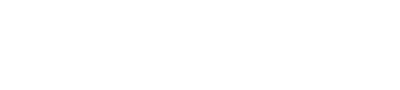 logoipsum-317-4.png